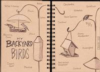 This sketchbook page by local illustrator Julia Rix may inspire you to sketch the birds you see from your window!